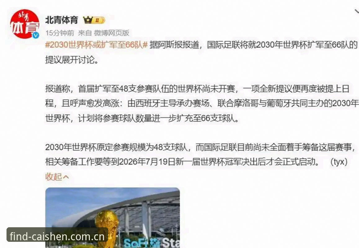 资深用户分享：世界杯扩军至66队，中国男足新机遇的深度体验与思考